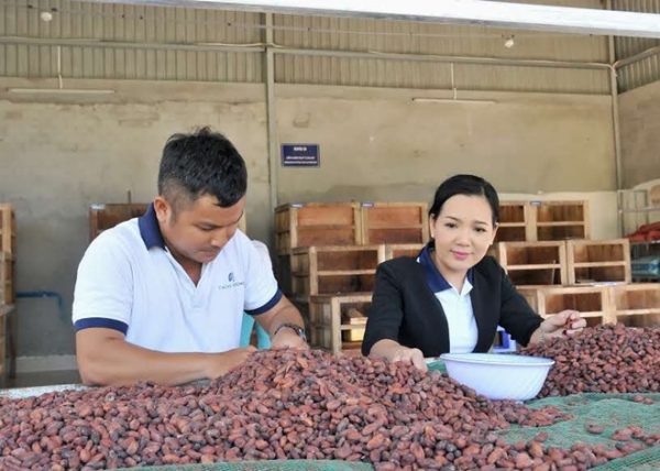 Cacao Mekong nâng tầm nông sản Việt