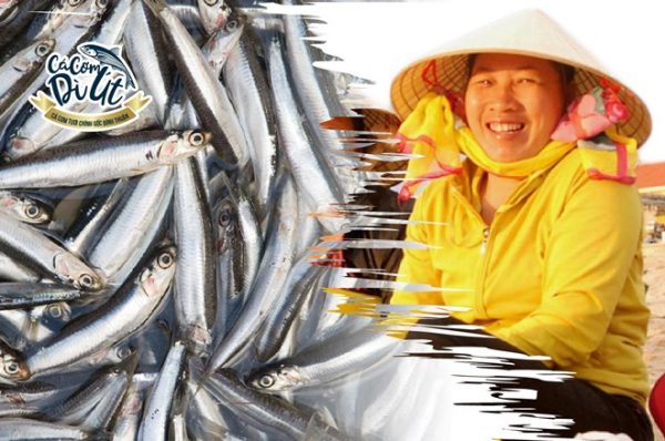 Bình Thuận – Nơi nụ cười nở trên những thúng cá cơm