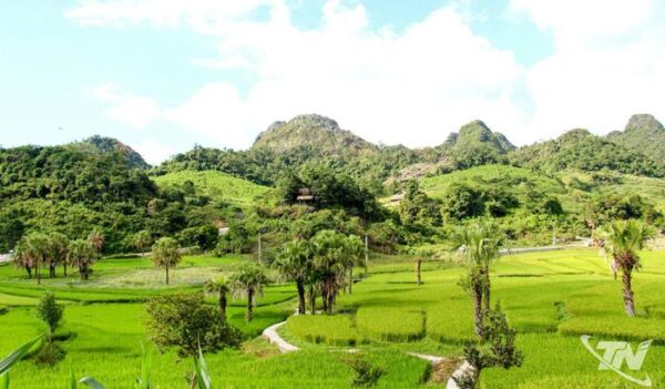 Mùa vàng no ấm vùng cao