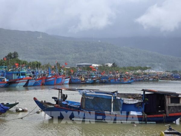 Đà Nẵng: Tàu thuyền khẩn trương vào tránh trú trước bão số 13