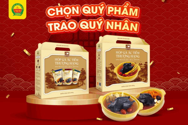 Hộp gà ác tiềm thượng hạng – Món quà sức khỏe tinh tế cho mùa sum vầy